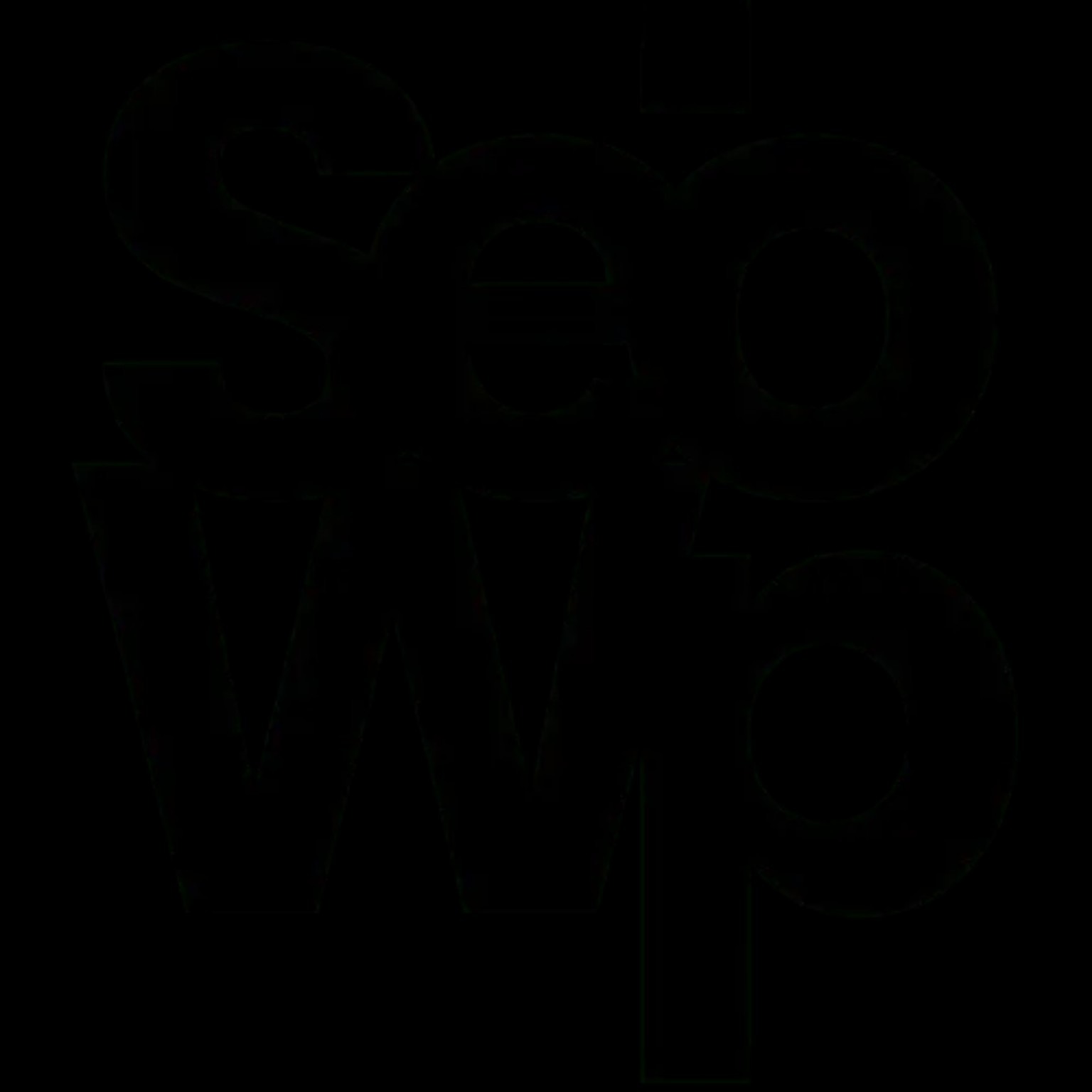 Logo Seo Wp